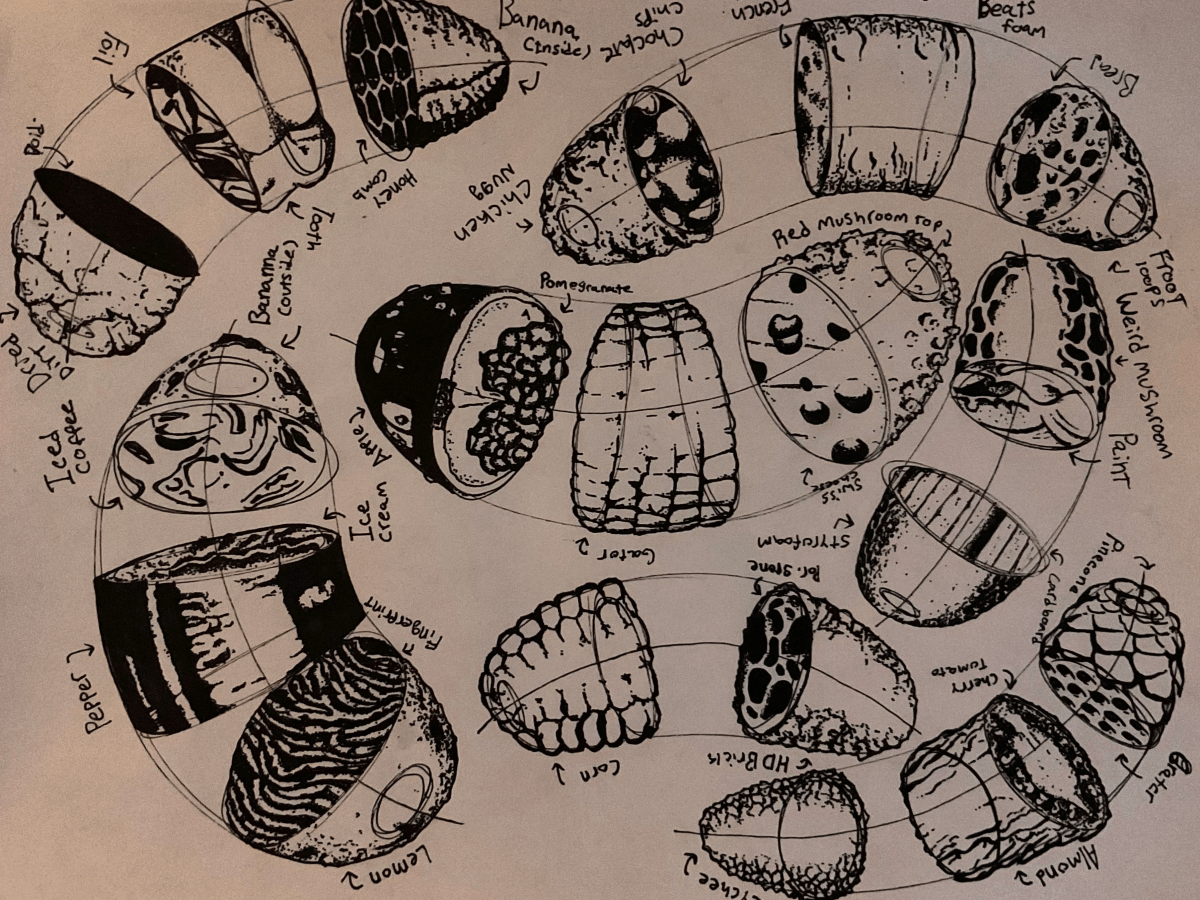 What does 18 months of drawing practice look&nbsp;like?